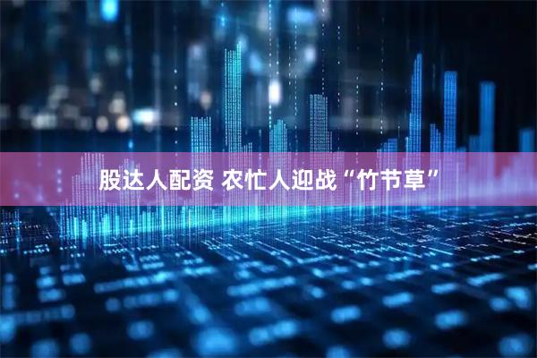 股达人配资 农忙人迎战“竹节草”