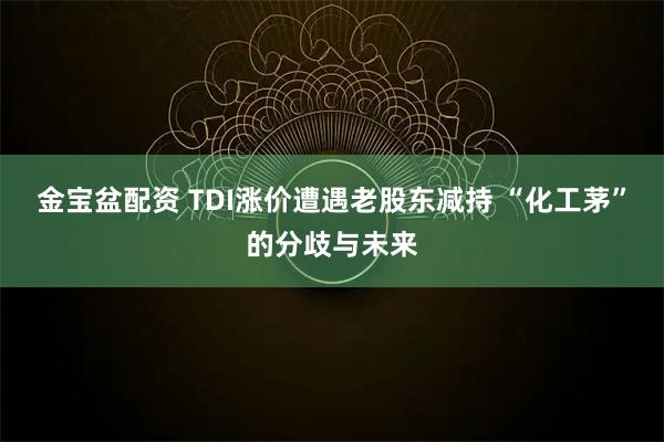 金宝盆配资 TDI涨价遭遇老股东减持 “化工茅”的分歧与未来