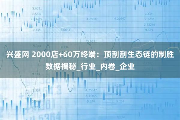 兴盛网 2000店+60万终端：顶刮刮生态链的制胜数据揭秘_行业_内卷_企业